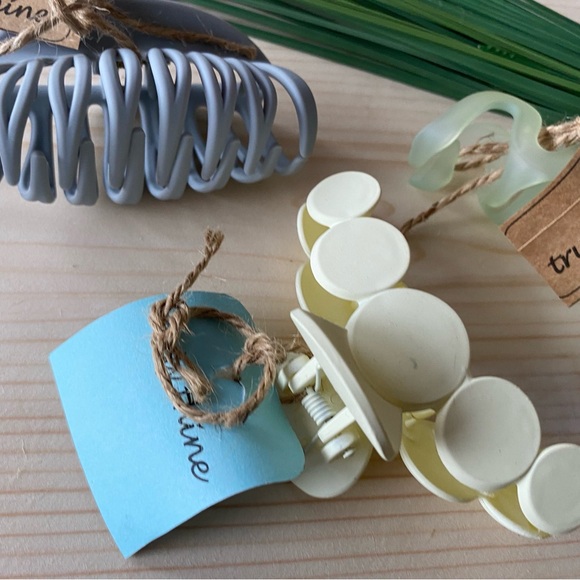 Chunky Hair Clip Set - Picture 4 of 5